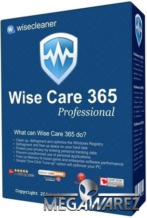 wise cleaner 365 pro free